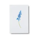 Blue Hyacinth – stor (39 kr)