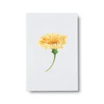 Dandelion – stor (39 kr)